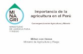 Importancia de la agricultura en el Perú - minagri.gob.pe · Brecha en riego . Brecha en semillas Fuente: ... Convenio para el financiamiento y ejecución de obras de rehabilitación