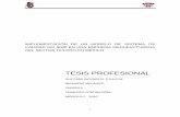 TESIS PROFESIONAL - tesis.ipn.mxtesis.ipn.mx/jspui/bitstream/123456789/8889/1/233.pdf · 3 escuela superior de ingenierÍa mecÁnica y elÉctrica unidad profesional azcapotzalco tesis