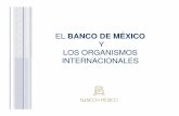 EL BANCO DE MÉXICOobservatorio.azc.uam.mx/pdf/CBM_24_6_2010_13.pdf · LOS ORGANISMOS INTERNACIONALES ÍNDICE Fondo Monetario Internacional (FMI)  Grupo del Banco Mundial  ...