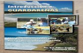 Introducción a Guardarenas: una herramienta …unesdoc.unesco.org/images/0014/001427/142786s.pdf · inicios en un taller de educación ambiental que se dio en Trinidad-Tobago en