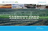 CARBONO CERO - pnuma.org Carbon_ES_05.pdf · Tabla 0.1 Lista de plantas hidroeléctricas en América Latina y el Caribe con una capacidad >1000MW/1GW .....91 Tabla 0.2 Costos proyectados