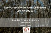 Ley Forestal y de Fauna Silvestre (Ley Nº 29763) - Normas de la ... · FUNCIONES DEL GOBIERNO REGIONAL (19º, 21º y 145º) Planificación •Uso sostenible, conservación y protección