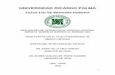 UNIVERSIDAD RICARDO PALMA - cybertesis.urp.edu.pecybertesis.urp.edu.pe/bitstream/urp/522/1/Gonzales_m.pdf · A mis padres y hermanos por su apoyo total e incondicional. ... les agradezco