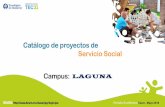 Presentación de PowerPoint - tec.mx · Prepanet Laguna  Proyecto: “Haz que otros terminen su Prepa” Prepanet es la preparatoria social en línea diseñada por el ...