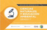 MALLAS DE APRENDIZAJE - Colombia Aprendeaprende.colombiaaprende.edu.co/ckfinder/userfiles/files/NATURALES... · características de los objetos, establecer relaciones simples entre