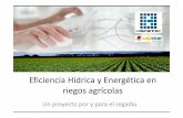 Eficiencia Hídrica y Energética en riegos agrícolas Jornada... · Es previsible un incremento de los precios unitarios de la ... programación de riego ... el sistema tiene en