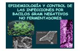 Tema 6. Epidemiolog a y control de las infecciones por bacilos gram negativos no ... · 2016-01-19 · -BACILOS NO ESPORULADOS AEROBIOS ... OXIDASA-NEGATIVO NO FERMENTADOR AEROBIO
