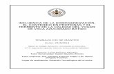 INFLUENCIA DE LA HOMOGENEIZACIÓN, EL CONTENIDO EN PROTEÍNAS Y EL FERMENTO EN LA ...uvadoc.uva.es/bitstream/10324/18973/1/TFM-L 290.pdf · 2017-12-21 · 3.3.3 Análisis fisicoquímicos