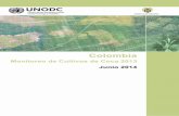 COLOMBIA Junio de 2014 - unodc.org · para 2013 y la preparación del presente informe: Gobierno de Colombia: Ministerio de Justicia y del Derecho. ... Experto en Sensores Remotos,