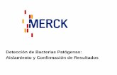 Detección de Bacterias Patógenas: Aislamiento y ...gyhsteinvorth.com/wp-content/uploads/2010/06/Detección-de... · Evaluada con 105 especies de Salmonella y 58 no Salmonella ...