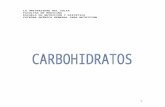 LA UNIVERSIDAD DEL ZULIA · Web viewClasificar a los carbohidratos en base a la complejidad de sus estructuras. 2.- Diferenciar los tipos de carbohidratos en base a sus estructuras