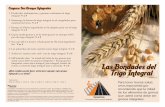 V o F Las Bondades del Trigo Integral - kansaswic.org · Los alimentos de trigo integral contienen las tres partes del grano -- el germen, el salvado y el endospermo. Los granos refinados