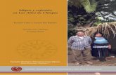 Milpas y cafetales en Los Altos de Chiapasbioteca.biodiversidad.gob.mx/janium/Documentos/6528.pdf · Cuando algunos teóricos de la llamada ‘nueva ruralidad’ ponen en duda la