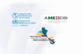 PLAN MAESTRO - comisca.netcomisca.net/sites/default/files/Plan Maestro Mesoamericano Dengue... · Elaboración de fortalezas, oportunidades, debilidades de las EGI-Dengue existentes
