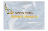 8. Ingenieria Genética y transgenicos 2011-2012.ppt …asociaciones.uca.es/genetica-sociedad-actual/Archivos_presentaci... · Aplicaciones de la Ingeniería Genética en plantas