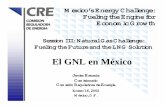El GNL en México - Comisión Reguladora de Energía · El GNL como Complemento a la Oferta de Gas Natural • Dadas las proyecciones de oferta-demanda y el aumento de las importaciones,