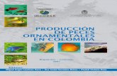 PRODUCCIÓN EN COLOMBIA - Universidad … de...PRODUCCIÓN DE PECES ORNAMENTALES EN COLOMBIA 7 Presentación En los últimos años el aprovechamiento y el comercio de peces ornamentales