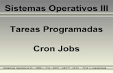 Tareas Programadas - Cron Jobs - carambula.net · utilizarse para ejecutar cualquier tarea. Sistemas Operativos III – ISBO – ITS – EMT – CETP - 2013 Prof. L. Carámbula ¿Qué