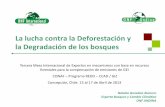 La lucha contra la Deforestación y la Degradación de …reddccadgiz.org/documentos/doc_1003625271.pdf · REDD+ y la Curva de Transición Forestal ... Las CAUSAS INDIRECTAS O SUBYACENTES: