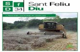 Sant Feliu D Diu - Diputació de Girona · agost 2016 Revista de sant Feliu de Buixalleu 34 > Reportatge i homenatge als nostres avis s a n t F e l i u B u i x a l l e u d e. ...