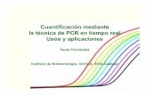 Cuantificación mediante la técnica de PCR en tiempo …€¦ · Cuantificación mediante la técnica de PCR en tiempo real Usos y aplicaciones Paula Fernández Instituto de Biotecnología.