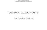 Dra Carolina Olaizola - geocities.ws · terminal • Diagnóstico por visualización de la larva colocando gota de aceite • Tratamiento: criocirugía, larvicidas, ... las trincheras