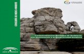 PORTADA CONTEXTUALIZACION GEOLOGICA - …€¦ · Evolución de Andalucía durante el Mesozoico y Cenozoico. El Ciclo Alpino 12 3. ... del proceso histórico de adaptación y aprovechamiento