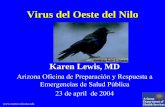 Virus del Oeste del Nilo - reeme.arizona.edu del Oeste de Nilo 4... · Así que la presencia de IgM del VON no significa una infección recién a menos de que sea acompañado ...