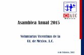 Asamblea Anual 2015 - Voluntarias Vicentinas de la …€¦ · caracterizadas por ser mujeres de iglesia entregadas a que la misión fuera una realidad, ... AUDITORIA $ 18,285.96