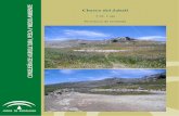 Inventario de Humedales de Andalucía (I.H.A) · dominio donde los materiales predominantes son margocalizas y calizas, ... o el bisbita campestre (Anthus campestris). Otras especies