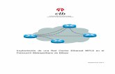 Implantación de una Red Carrier Ethernet MPLS en el ... · cumplir para el diseño, fabricación, suministro, instalación, pruebas y puesta en marcha de una Red de Transmisión