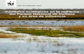 Caudales ecológicos en la marisma del Parque Nacional …assets.wwf.es/downloads/sintesis_caudales_final.pdf · Parque Nacional de Doñana Marisma transformada Antiguos cauces del