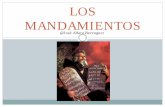 LOS MANDAMIENTOS - medinacelipuertoreal.esmedinacelipuertoreal.es/documentos/mandamientos.pdf · CONCEPTO Conjunto de las enseñanzas oficiales del Magisterio de la Iglesia Católica