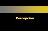 Presentación de PowerPoint - MAESTRÍA EN …fidelmafca.weebly.com/uploads/4/0/4/7/4047781/__percepcion-teora-y... · 4. Enfoque neuropsicológico 1. Teorías de la percepción .