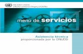 Asistencia técnica proporcionada por la ONUDD - unodc.org€¦ · en el establecimiento de agencias nacionales contra la corrupción, incluyendo la colocación de asesores a nivel