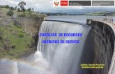 CONSEJOS DE RECURSOS HÍDRICOS DE CUENCA … ing. adolfo toledo consejos de... · Los Consejos de Recursos Hídricos de Cuenca, ... cuenca, a cargo de la AAA. Impulsar entre sus integrantes,