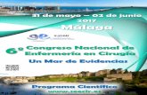 31 de mayo 2017 Málaga - SEECir · Directora de la Estrategia de Cuidados de Andalucía 01 de junio ...