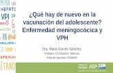 ¿Qué hay de nuevo en la vacunación del adolescente… · •3 etapas en la adolescencia: inicial, media y tardía • Constituye un importante grupo poblacional en España (INE