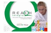 REACH - Inicio · REACH, CLP y su legislación paralela durante todo el ciclo de ... , los escenarios de exposición y el informe sobre la seguridad ...