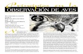 OBSERVACIÓN DE AVES - floridabirdingtrail.comfloridabirdingtrail.com/wp-content/uploads/2016/02/bwb-spanish.pdf · Diseño de Marrel Cooper ... Tradución de Laura E. Villaseñor