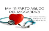 IAM (INFARTO AGUDO DEL MIOCARDIO) - … · El infarto agudo de miocardio (IAM) es la necrosis irreversible del miocardio como consecuencia de la isquemia aguda y prolongada de una