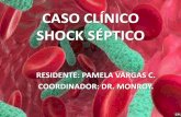 CASO CLÍNICO SHOCK SÉPTICO - …pediatria.fundacionpatino.org/docs/news/cc16052015_16.pdf · hemograma leucocitos 24.5000 mm3 neutrÓfilos 48% (11.760 mm3) linfocitos 48% (11.760