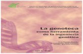 INSTITUTO NACIONAL DE INVESTIGACIONES ... - …sian.inia.gob.ve/pdfpnp/La genoteca como herramienta de la... · Selección de fagos recombinantes f. Métodos para evaluar las genotecas
