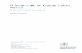 El feminicidio en Ciudad Juárez, México536001/FULLTEXT01.pdf · los términos de violencia de género, feminicido, el concepto de territorialidad en Ciudad Juárez y machismo, terminando