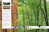 BIOMASA - asmadera.comasmadera.com/wp-content/uploads/2014/11/FolletoBiomasa.pdf · Las principales formas de obtención de biomasa forestal son: Tratamientos selvícolas: ... AGROFORESTAL