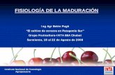 Ing Agr Belén Pugh “El cultivo de cerezos en Patagonia …eulacias.org/wp-content/uploads/2013/05/annex_c_08_produccion... · El desarrollo de los frutos y su semilla es de corta
