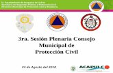 3ra. Sesión Plenaria Consejo Municipal de Protección … consejeros... · Tiempo de ejecución Programa ... 20 Desfile cívico de la Revolución Mexicana 22 al 26 Reuniones de los