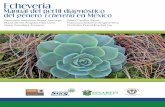 Echeveria U Manual del perfil diagnós tico en México · enfermedades y parásitos. Como es bien conocido, numerosas especies de palmas, cícadas, orquídeas y cactáceas son usadas