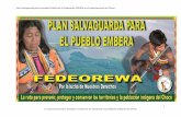 Plan Salvaguarda para el pueblo Emberá de la … · 2 La ruta para prevenir, proteger y conservar los territorios y la población indígena del Chocó ... CAPITULO I DIAGNOSTICO
