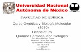 Universidad Nacional Autónoma de México - Blog de la clase · Conocerá la estructura de las bases nitrogenadas (purinas y pirimidinas) y azúcares (ribosa y desoxiribosa) presentes